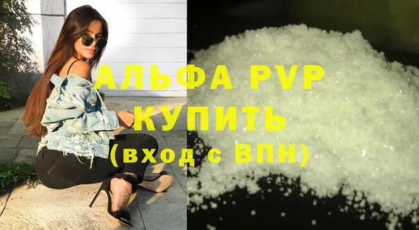 хмурый Абаза
