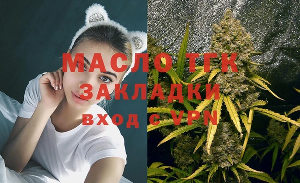 хмурый Абаза