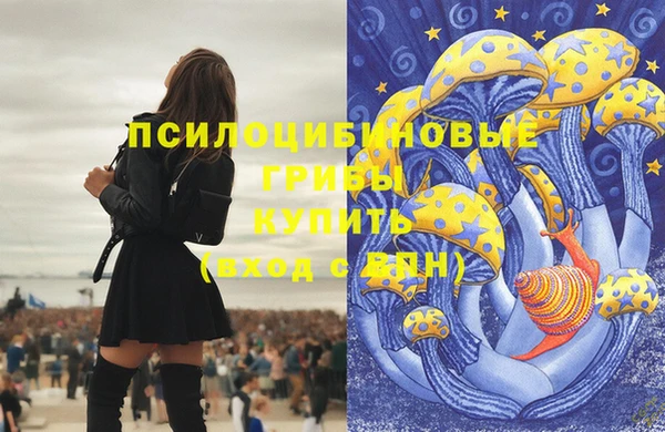 хмурый Абаза