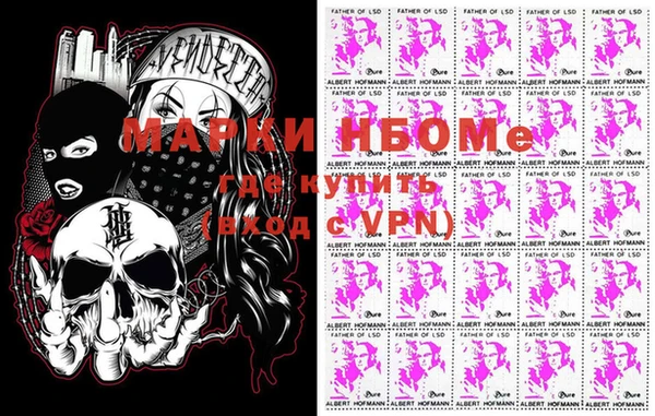 хмурый Абаза